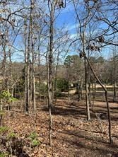 000 King Frederick Ct, Scroggins, TX 75480