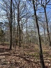 000 King Frederick Ct, Scroggins, TX 75480