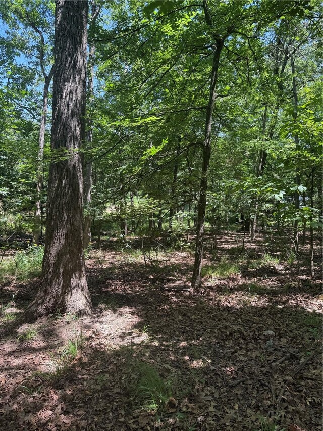 000 King Frederick Ct, Scroggins, TX 75480