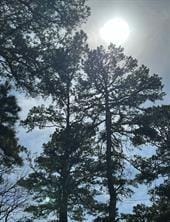 000 King Frederick Ct, Scroggins, TX 75480