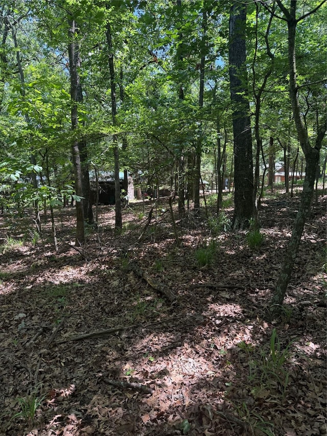 000 King Frederick Ct, Scroggins, TX 75480