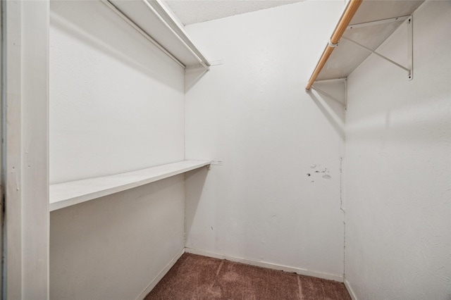 spacious closet with dark colored carpet