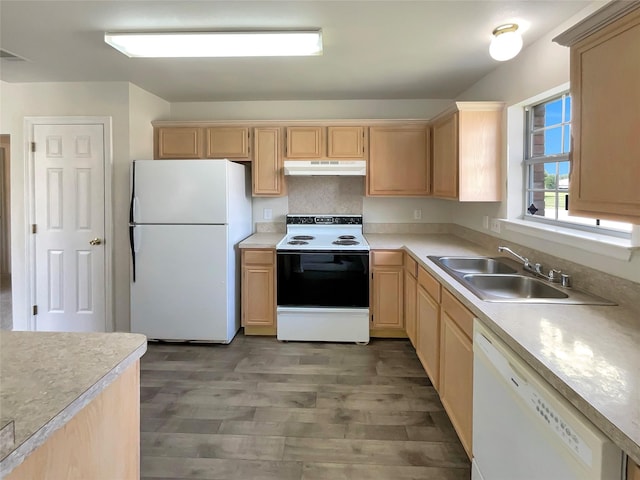 kitchen featuring a sink, wood finished floors, white appliances, light brown cabinets, and under cabinet range hood