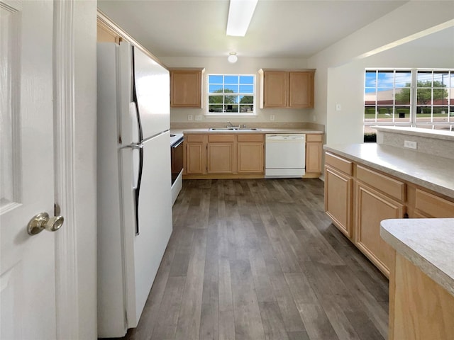 kitchen with a sink, wood finished floors, light brown cabinetry, white appliances, and light countertops