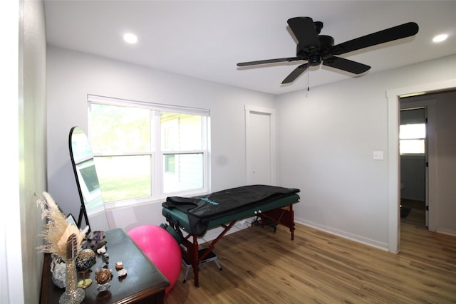 game room with ceiling fan, baseboards, wood finished floors, and plenty of natural light