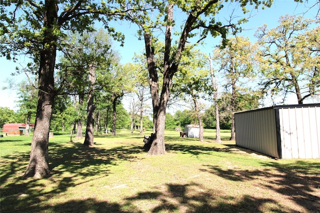 view of yard featuring an outbuilding and a storage unit