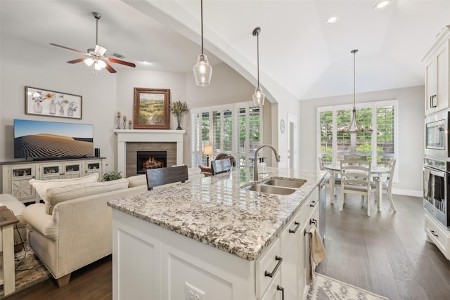 3204 Discovery Dr, Little Elm, TX 75068 - kitchen with a sink, appliances with stainless steel finishes, dark wood finished floors, a lit fireplace, and lofted ceiling