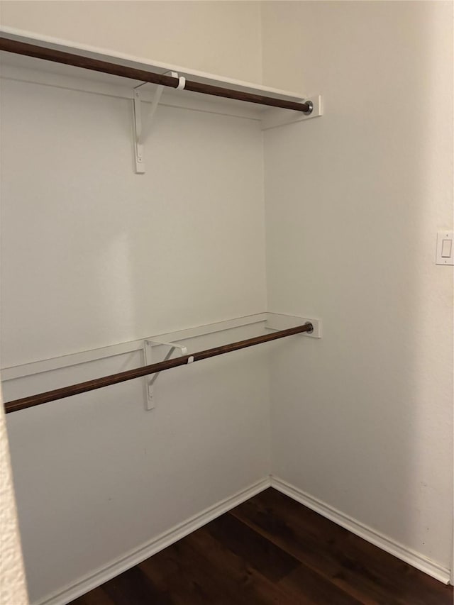 spacious closet featuring dark wood-type flooring