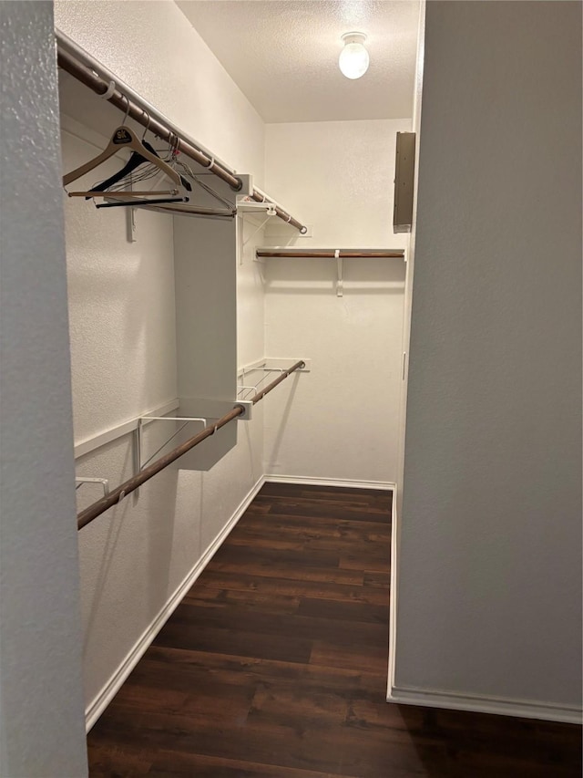spacious closet with wood finished floors