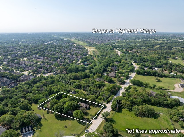 bird's eye view