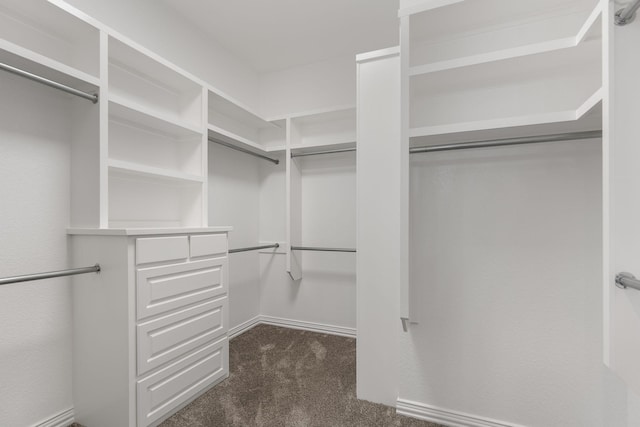 walk in closet featuring dark colored carpet