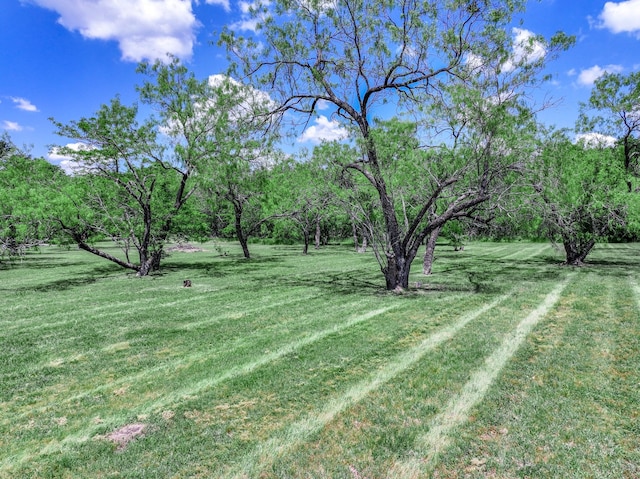 230 Woodbluff Ct, Royse City, TX 75189