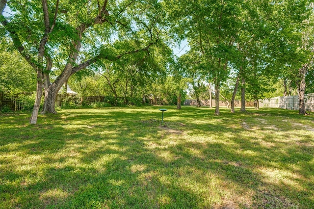 411 E Ross St, Waxahachie, TX 75165 - view of yard