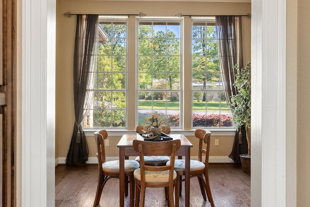 dining room featuring baseboards, wood finished floors, and plenty of natural light