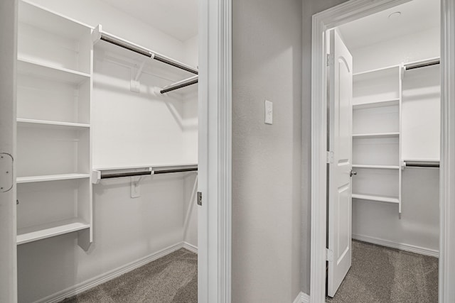 walk in closet featuring carpet flooring