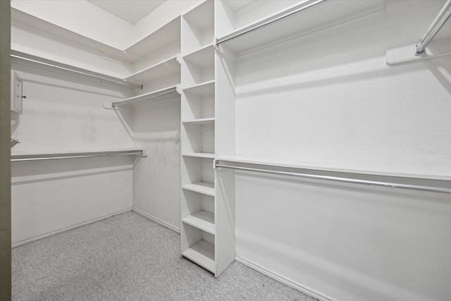 845 Canyon Crest Dr, Irving, TX 75063 - walk in closet featuring carpet floors