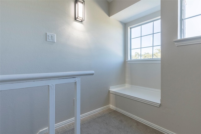 interior space with carpet flooring
