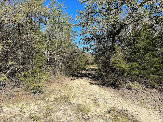 view of landscape