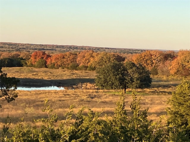 view of local wilderness featuring a water view