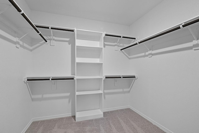 spacious closet with carpet floors