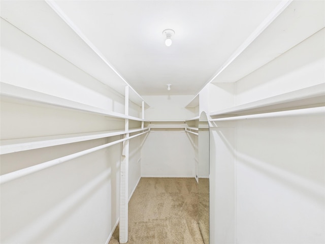 spacious closet featuring light colored carpet