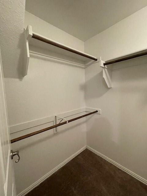 702 Grassland Way, Arlington, TX 76002 - view of spacious closet