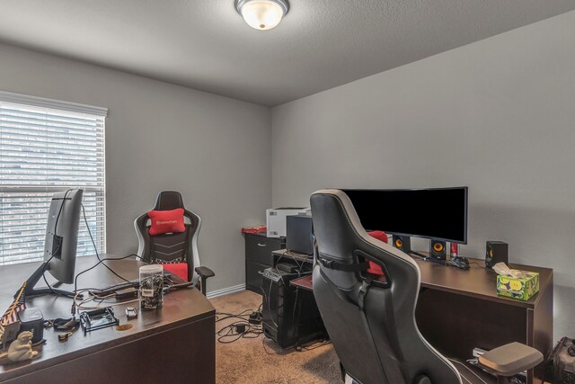 702 Grassland Way, Arlington, TX 76002 - home office featuring light carpet