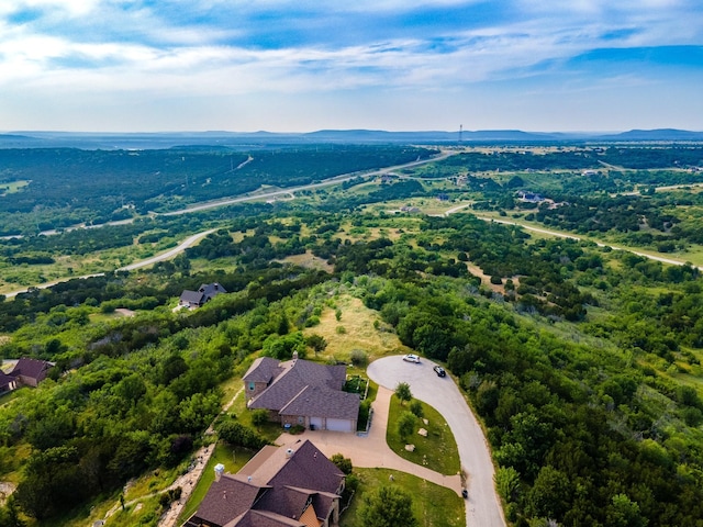 1253 Honeysuckle Ct, Possum Kingdom Lake, TX 76449