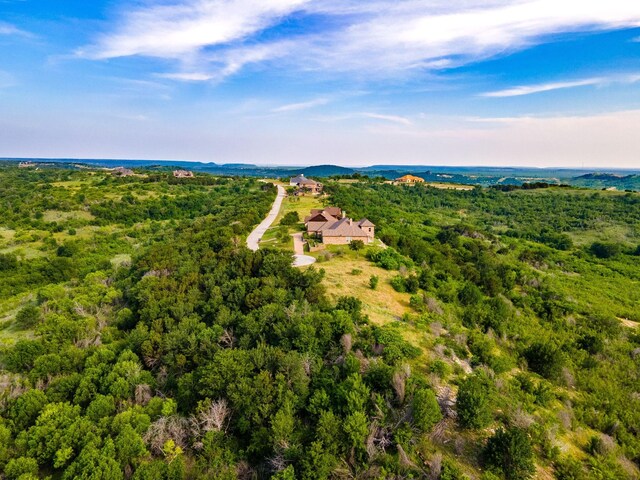 1253 Honeysuckle Ct, Possum Kingdom Lake, TX 76449