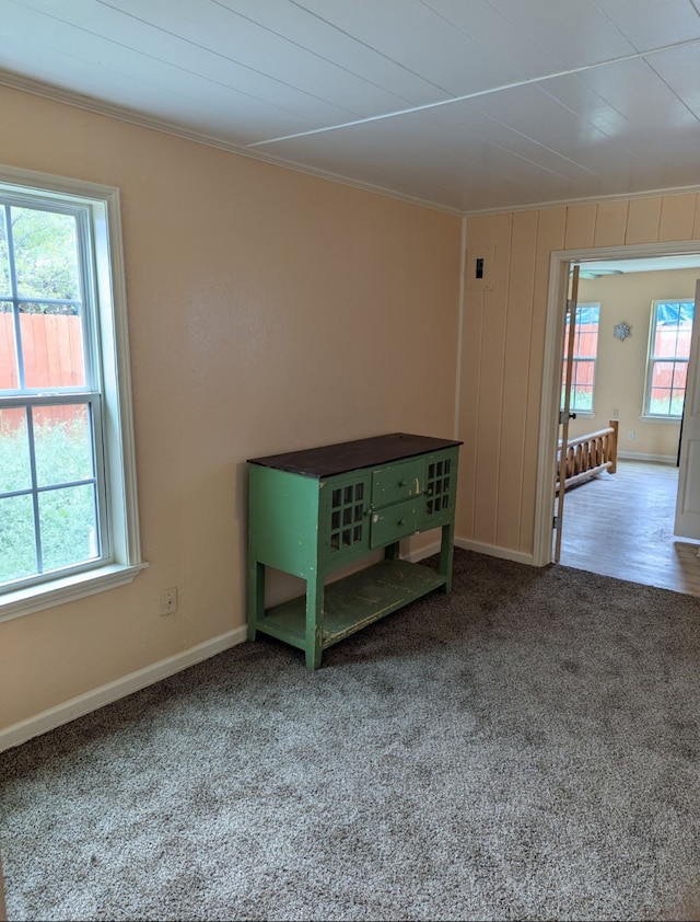carpeted spare room with baseboards, ornamental molding, and a healthy amount of sunlight