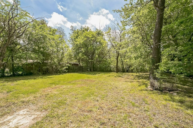 2126 Cedar St, Paris, TX 75460 - view of yard