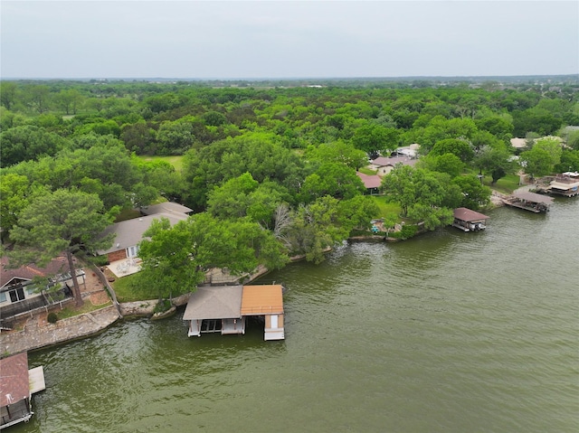 1351 Porter Ct, Granbury, TX 76048 - birds eye view of property with a view of trees and a water view