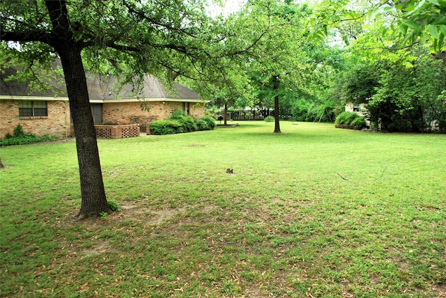 view of yard