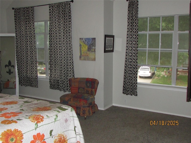 2709 Lakeside Dr, Burleson, TX 76028 - bedroom featuring baseboards and carpet flooring