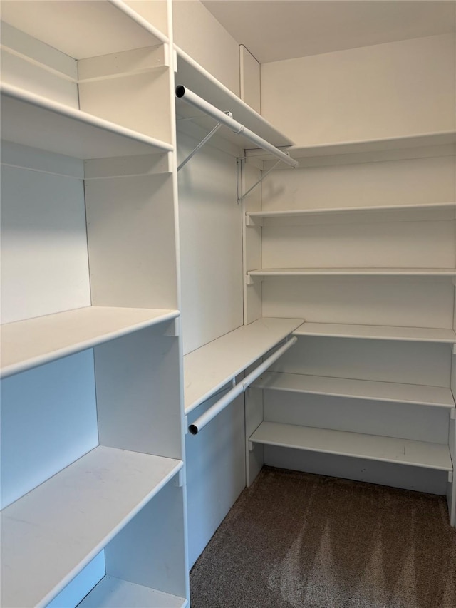 209 E Meadows St, Saint Jo, TX 76265 - walk in closet with dark colored carpet