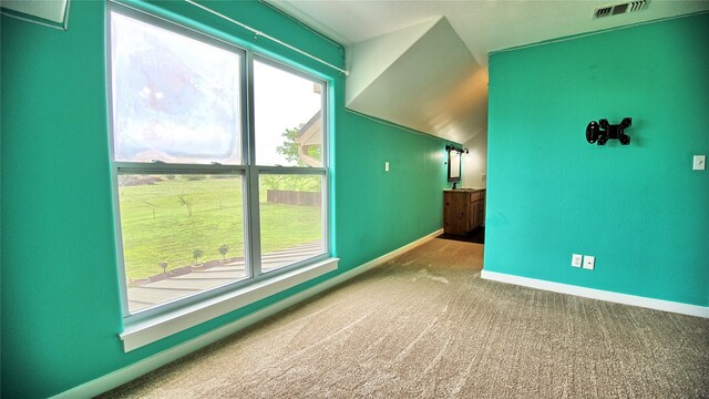 additional living space with a healthy amount of sunlight, baseboards, carpet, and visible vents