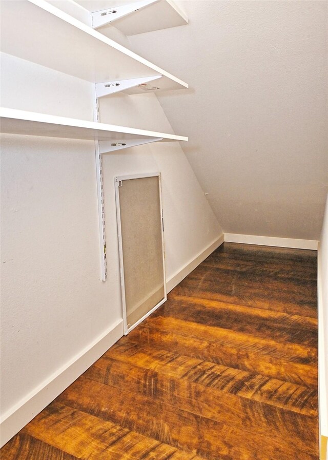 walk in closet featuring wood finished floors