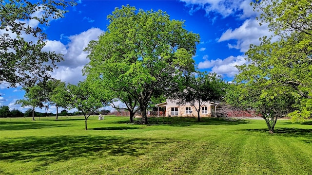 209 E Meadows St, Saint Jo, TX 76265 - view of green lawn