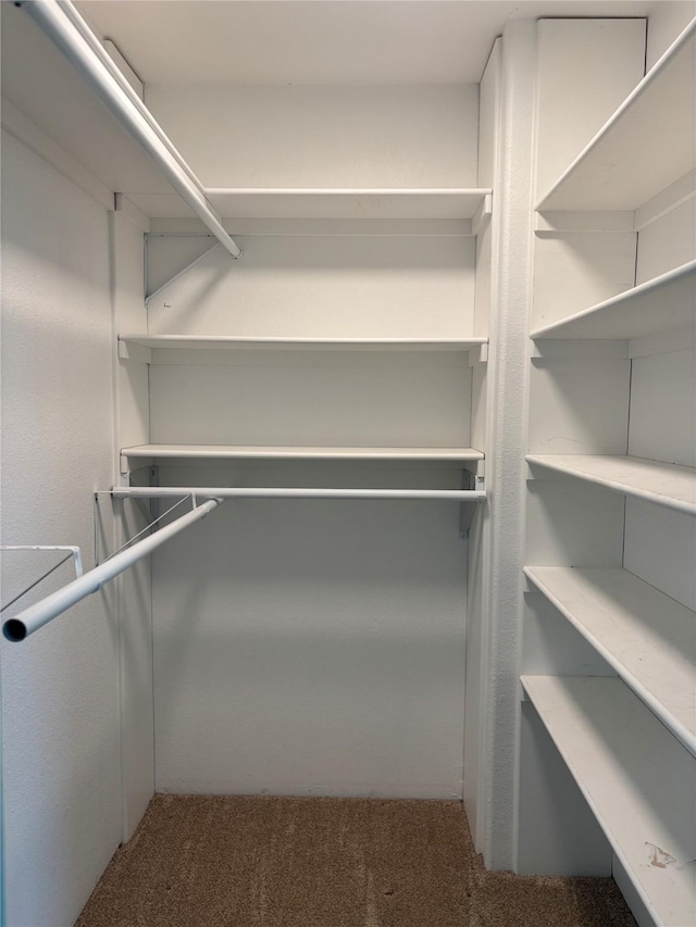 209 E Meadows St, Saint Jo, TX 76265 - walk in closet with carpet flooring