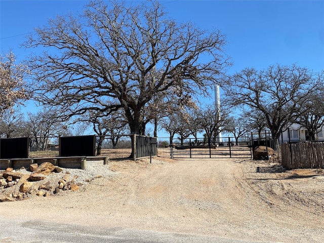 view of road featuring a gated entry, dirt driveway, and a gate