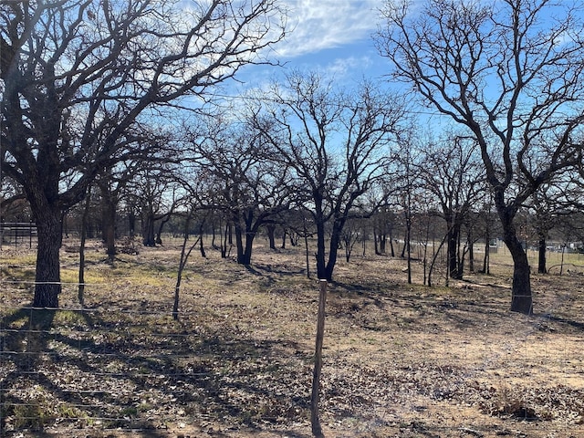 1609 Beech St, Cisco, TX 76437 - view of nature