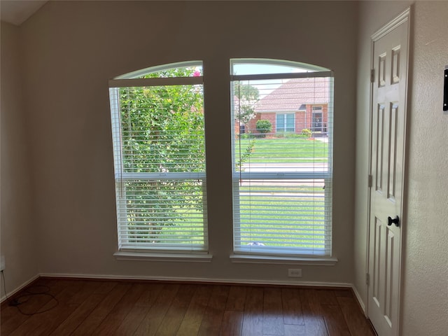 10401 Max Ln, Frisco, TX 75035 - spare room with healthy amount of natural light and hardwood / wood-style floors