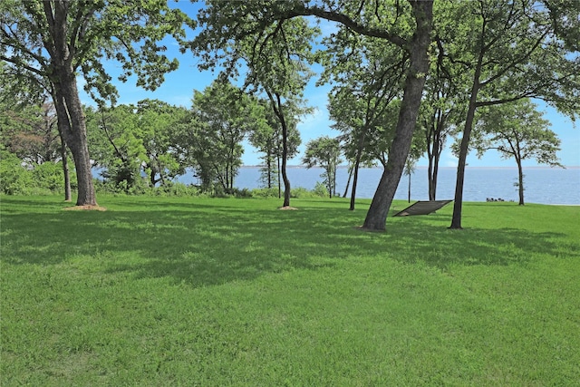 8919 Southern Shore Ct, Kemp, TX 75143 - view of yard with a water view