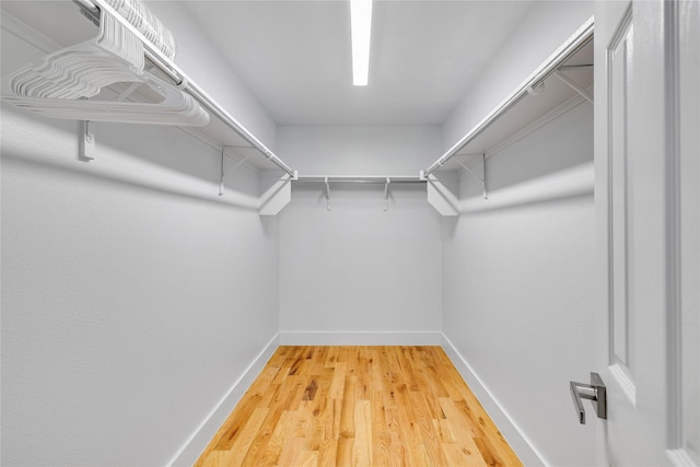 spacious closet with light wood-style flooring