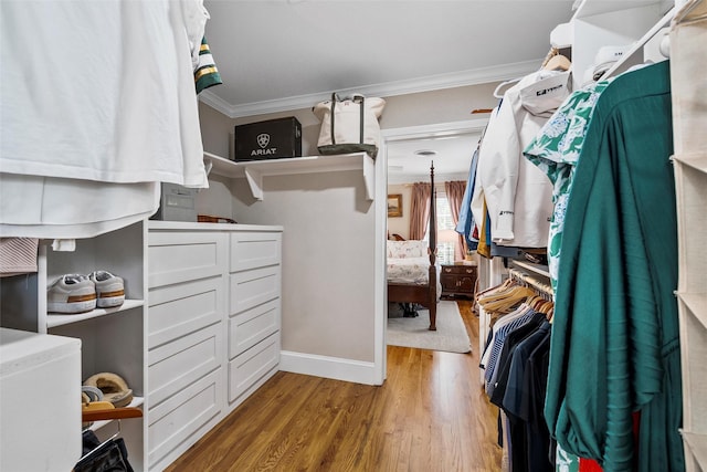 walk in closet featuring wood finished floors