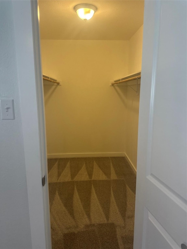 walk in closet with carpet flooring