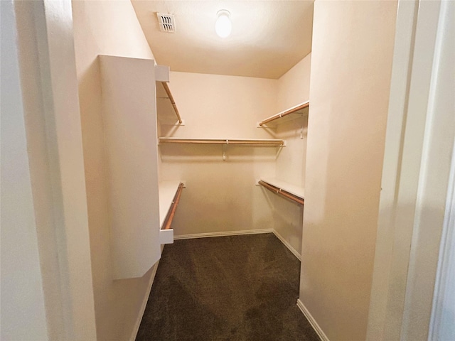 4303 Grassy Glen Dr, Corinth, TX 76208 - walk in closet featuring carpet