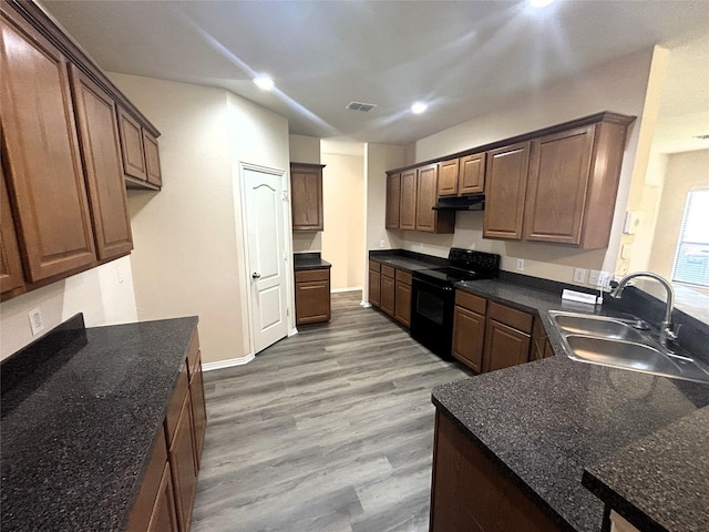 4303 Grassy Glen Dr, Corinth, TX 76208 - kitchen with electric range, a sink, under cabinet range hood, recessed lighting, and light wood-style flooring
