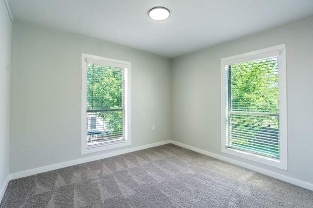 spare room featuring baseboards and carpet flooring