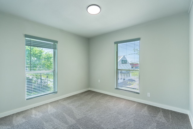 spare room with crown molding, baseboards, carpet, and a healthy amount of sunlight